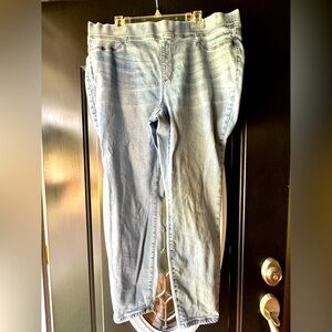 Size 20W Wonderly Light Blue Women's Skinny jeans